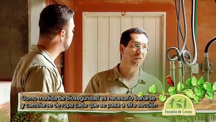 Escuela de campo: Genética porcina - 28 de junio