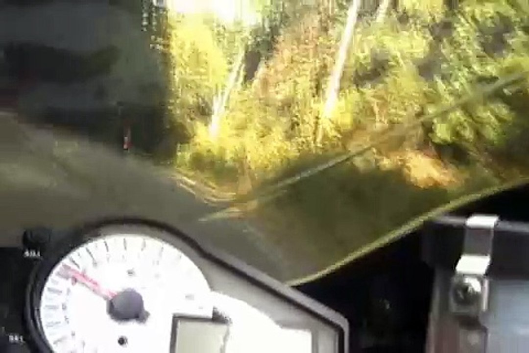 Jabali + carretera de curvas...