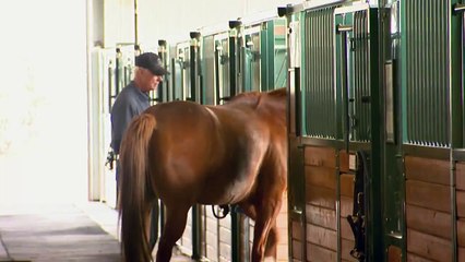Dumb Friends League Harmony Equine Center