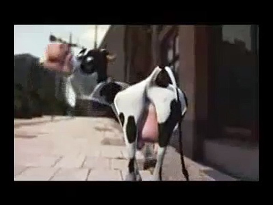 DancingSTARS2 crazycow-likes-to-muh; muscal-verrückte kuh