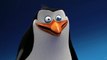 Penguins of Madagascar - Meet Rico - DreamWorks Animation HD