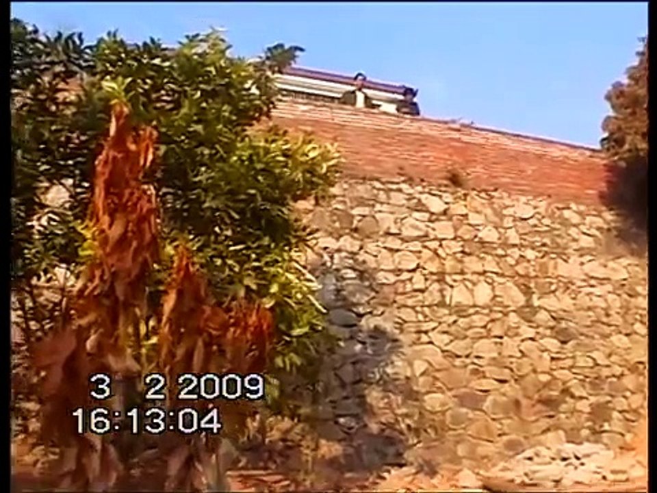 清理渔塘捉鱼