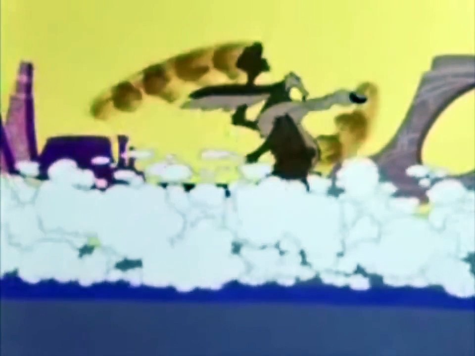Road Runner X