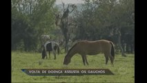 Volta de doença assusta criadores de cavalos no RS