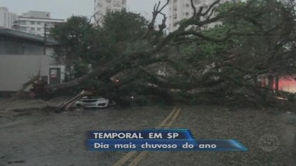 Temporal causa estragos e deixa São Paulo em estado de atenção