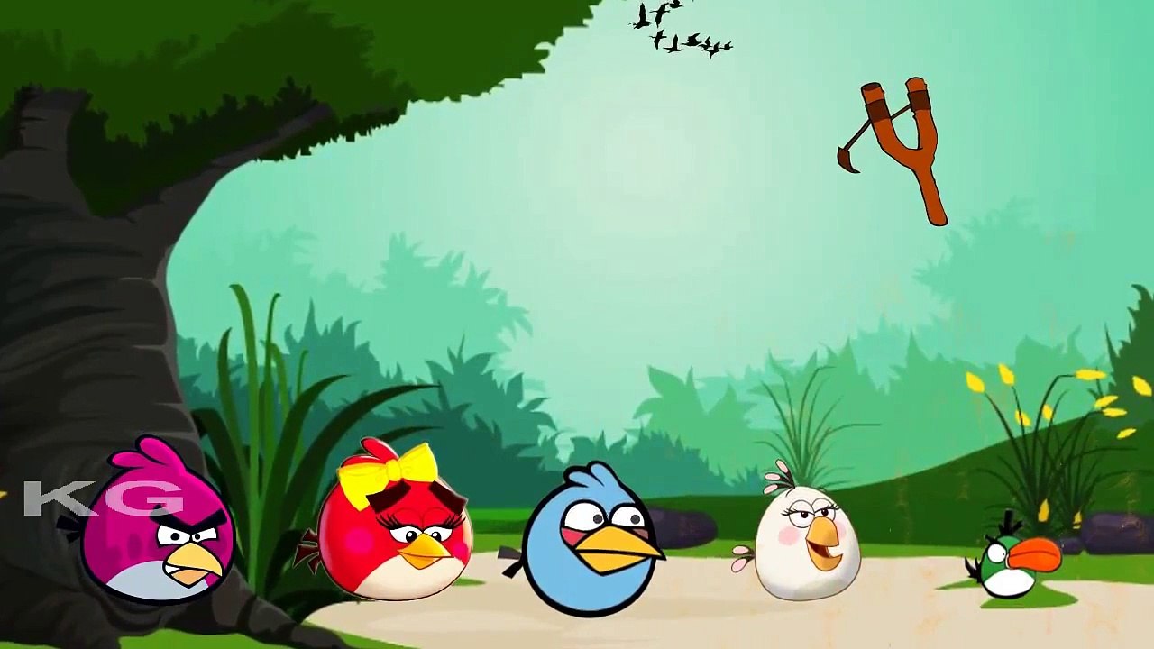 Angry Birds Finger Family Song | Daddy Finger Daddy Finger | Cartoon Nursery Rhymes