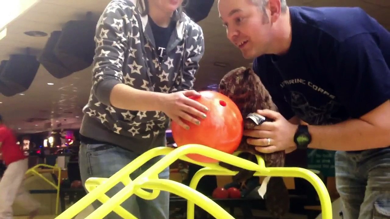 Beaver Bowling