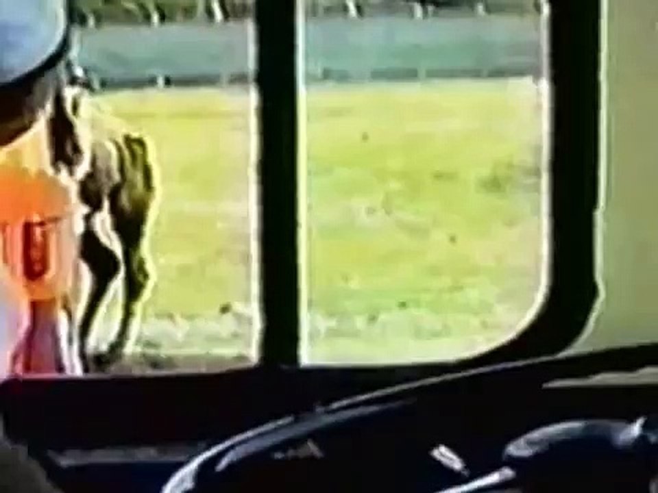 Rire et délire : l'émission à V