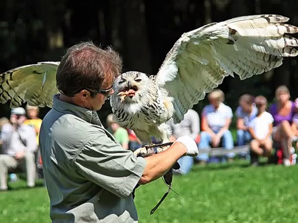 "Wildpark Poing" Teil 3