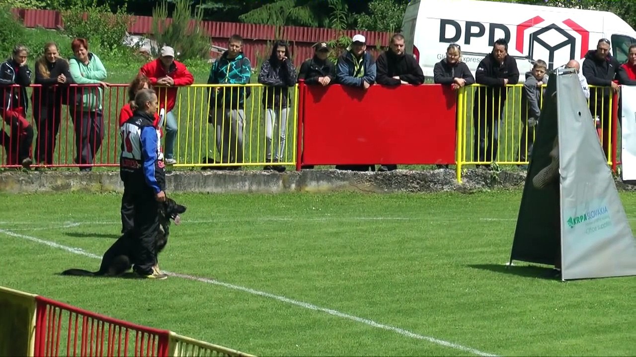 IPO1 Zilina 2014 - Urri z Kurimskeho haje - C:96