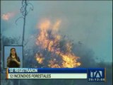 Se registraron 12 incendios forestales