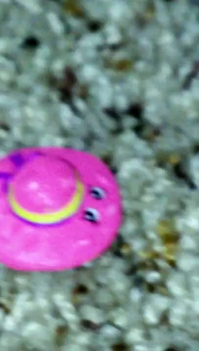 Shopkins slide show enjoy :)
