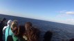 Whale Watching Cruise - San diego CA 2015