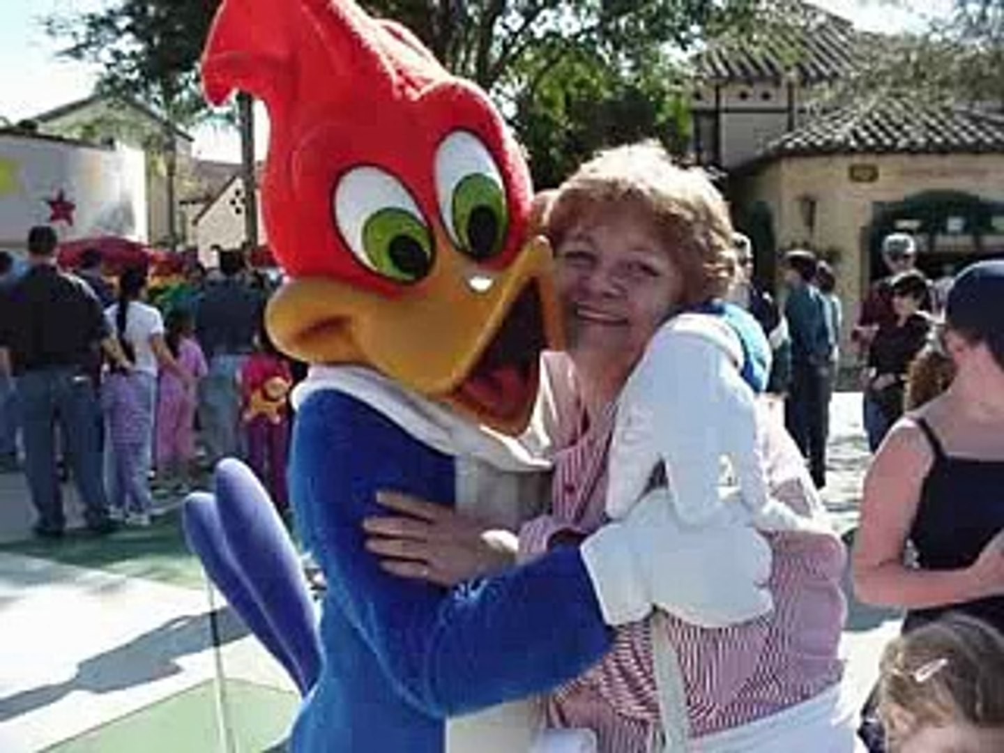 Woody Woodpecker Song Mel Blanc 1948 The One You Have Waited For Enjoy Video Dailymotion