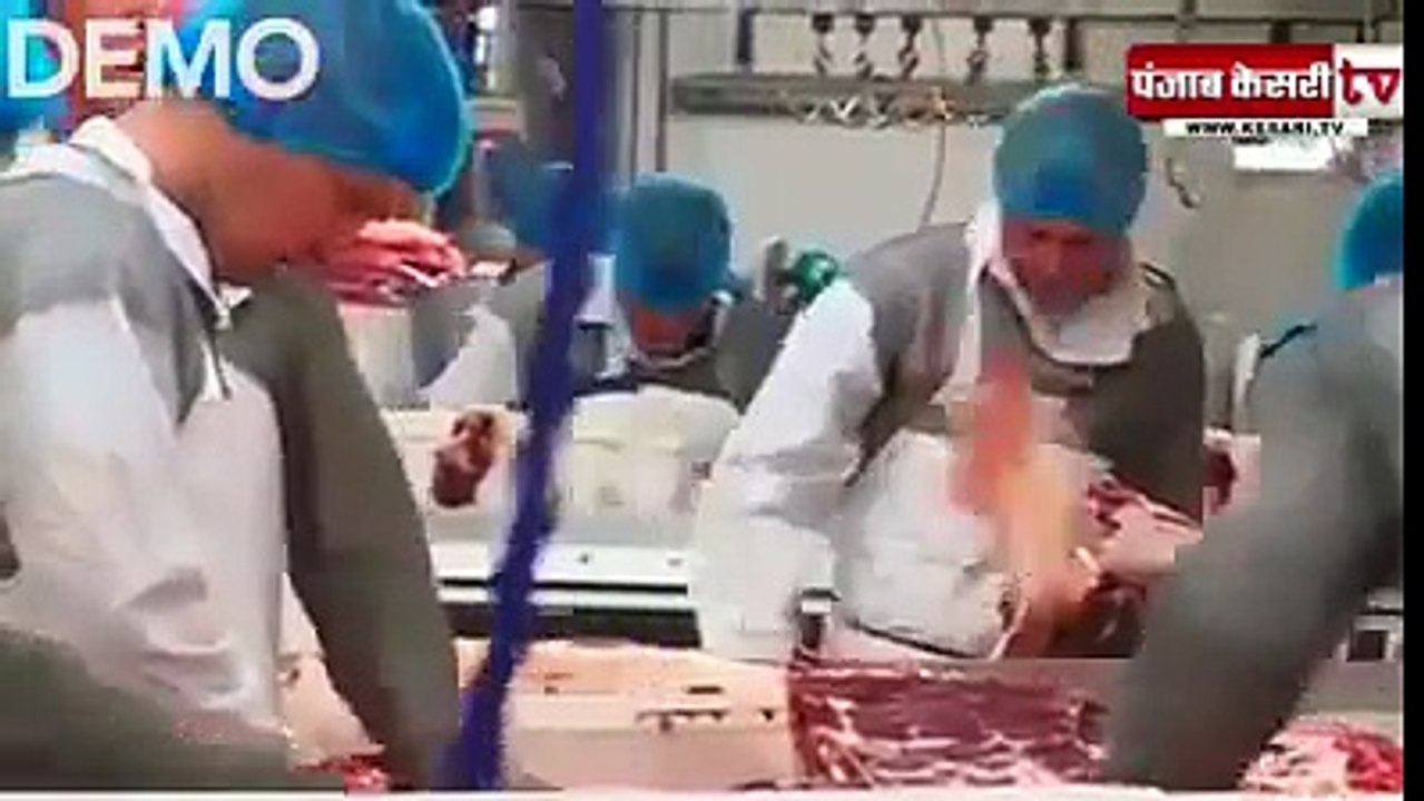 India no 1 in beef export