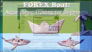 Forex Trading For Beginners Speed Skills
