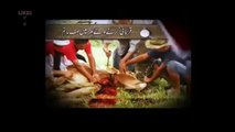 Be Care Full During Qurbani on Eid Ul Azha