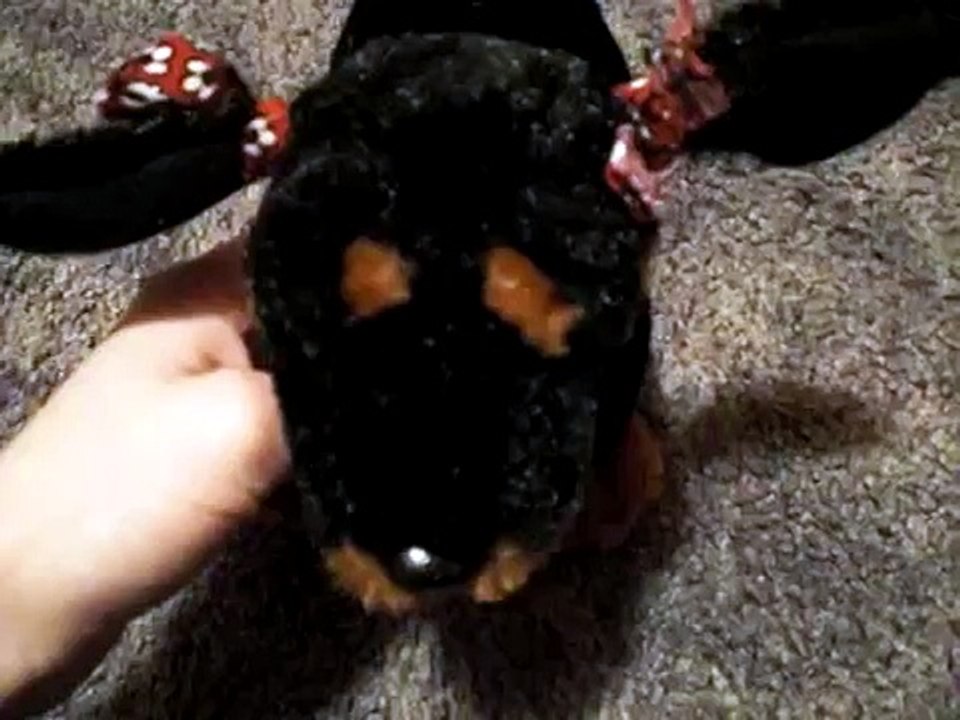 im getting nothing for christmas