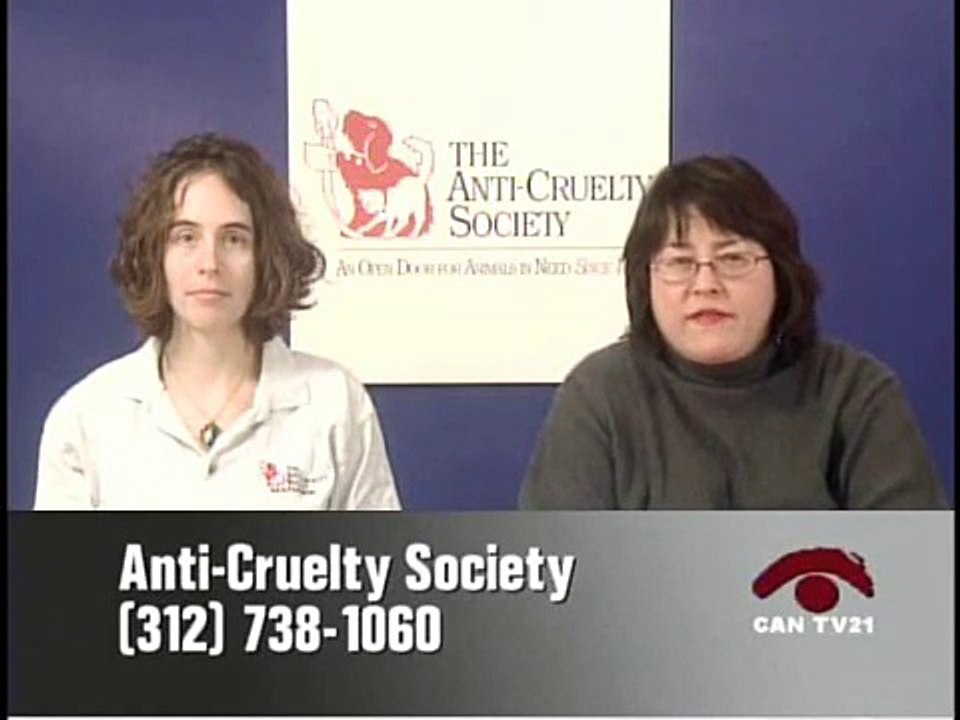 ACS on CAN TV21: Spotlight Dog Socialization - Part 2