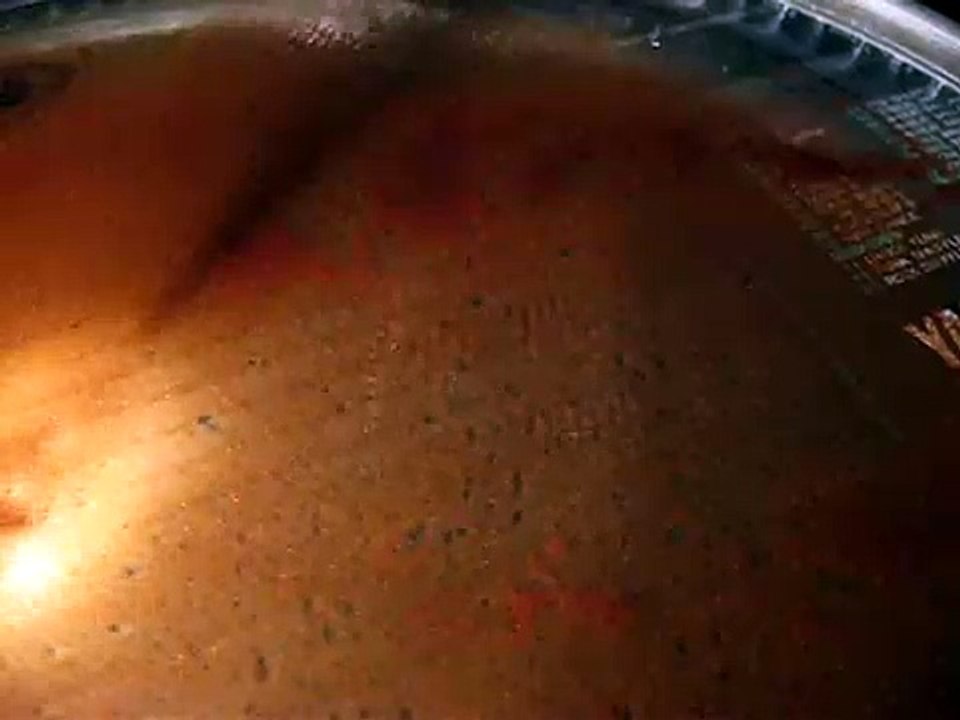 Cymatics - Cinnamon in Water