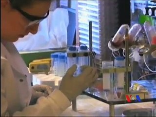 Chữa lành HIV làm gia tăng hy vọng