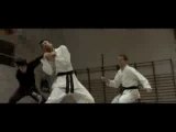 Jet li karate