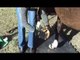 Horse Boots - Cavallo Sport Hoof Boot Fitting