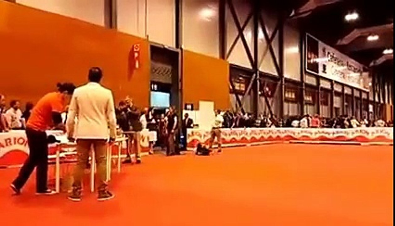 ChJ. Chocoblue James Bond - Exc. 1 - RCAC - Expo. Int. Canina de Primavera de la R.S.C.E. 2015