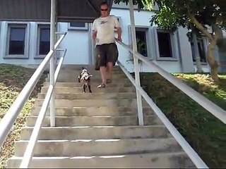 Rajoo's Trip To Town