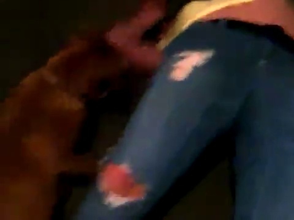 Dog vs Girl