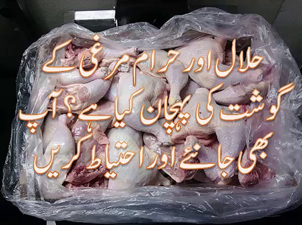 Haram Aur Halal Murghi ke Gosht ke Pehchan