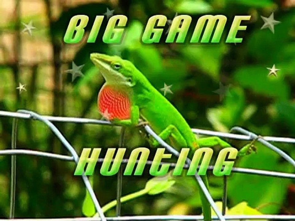 "Anole Alley" S2-E39 Big Game Hunting, part 2 conclusion.
