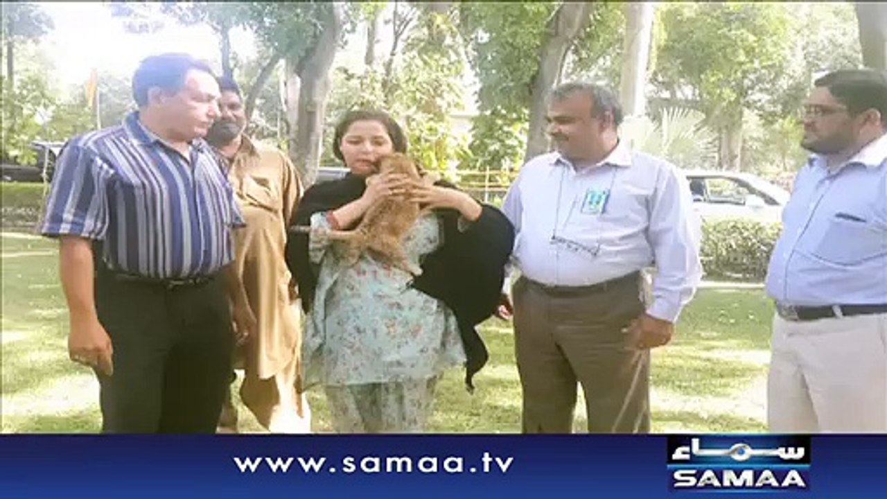Babra Sharif Adopted a Leopard Cub and Wrote 2 Lac Check For His Care