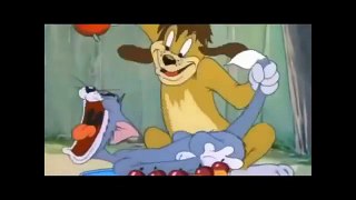 Tom and Jerry cartoon   the truce hurts