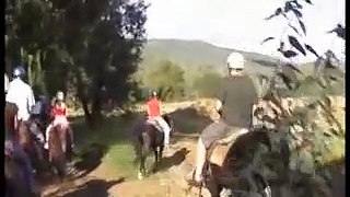 Horse Riding in Bingara - Oz Experience