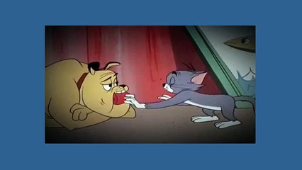 Tom And Jerry Cartoon - Much Ado About Mousing