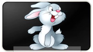 Cartoon Rabbit Pictures
