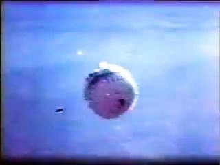 BLU-96 Fuel-Air Explosive Bomb