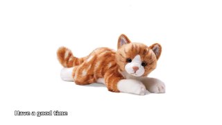 toy cat