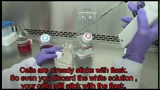 Cell Splitting Technique (Passaging)
