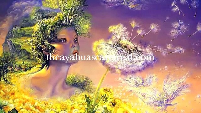 Ayahuasca ceremony, Factors influencing your experience, part 1 of 10 of Ayahuasca basics