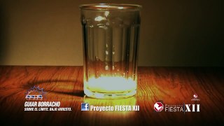 Proyecto FIESTA XII - Descontrol
