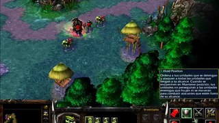 SOY UN ORCO MUSCULOSO QUE VA AL GIMNACIO/Warcraft III reign of chaos