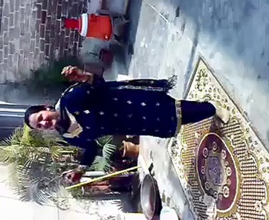 Desi Girls  dance 2015 (12)