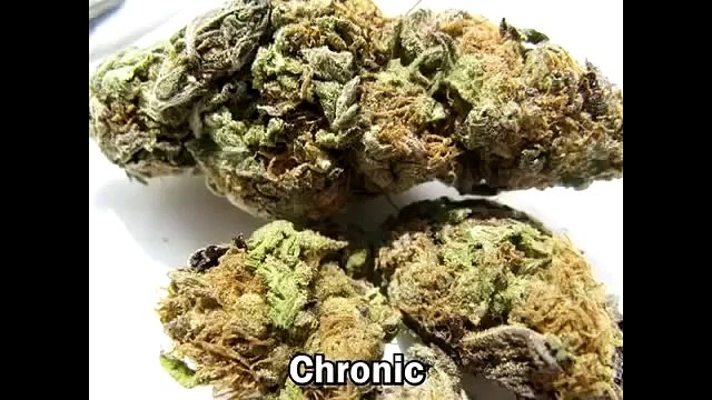 My Name's Obama Rucka Rucka Ali