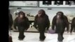 Funny Animals Compilation - Happy Birthday Monkey Funny Videos LOL Viral Videos 2