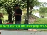 River Manatees in Iquitos