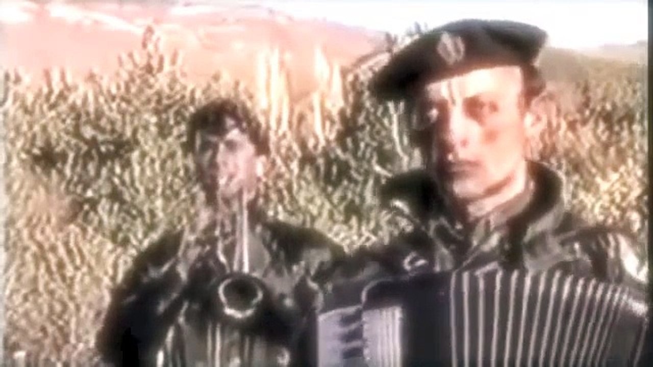 REMOVE CANCER (Kocayine - REMOVE KEBAB Remix)