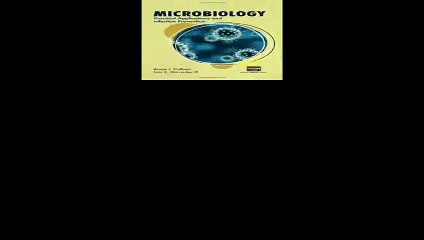 Microbiology Practical Applications and Infection Prevention
