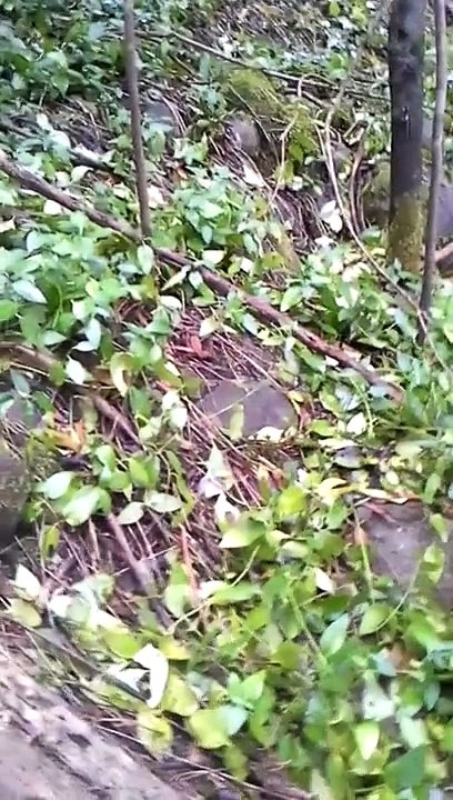We Love Nature - WK